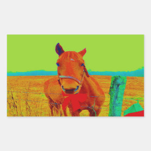 Sticker Rectangulaire Ciel vert, arc rouge Horse : ajouter le nom