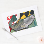Sticker Rectangulaire Citizen Rockfish du Maryland (Enveloppe)