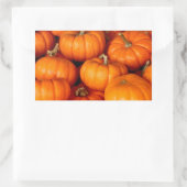Sticker Rectangulaire Citrouille (Sac)