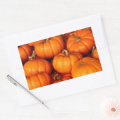 Sticker Rectangulaire Citrouille (Enveloppe)