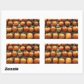 Sticker Rectangulaire Citrouilles d'automne (Feuille)