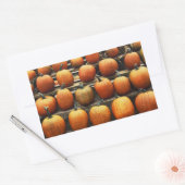 Sticker Rectangulaire Citrouilles d'automne (Enveloppe)
