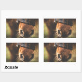 Sticker Rectangulaire Closeudo d'un mignon cheval Brown nez (Feuille)