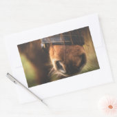 Sticker Rectangulaire Closeudo d'un mignon cheval Brown nez (Enveloppe)
