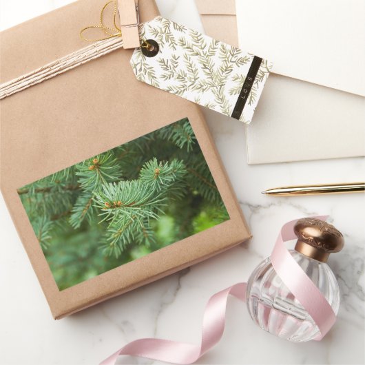 Sticker Rectangulaire Closeuse de pin (Cadeaux)