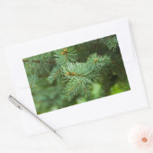 Sticker Rectangulaire Closeuse de pin (Enveloppe)