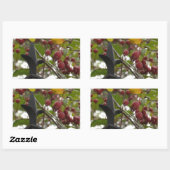 Sticker Rectangulaire Clôtures et crabes (Feuille)