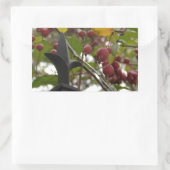 Sticker Rectangulaire Clôtures et crabes (Sac)