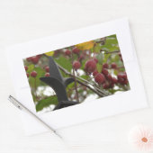 Sticker Rectangulaire Clôtures et crabes (Enveloppe)