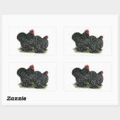 Sticker Rectangulaire Cochin Mottled (Feuille)