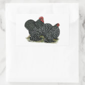 Sticker Rectangulaire Cochin Mottled (Sac)