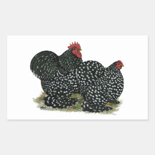 Sticker Rectangulaire Cochin Mottled