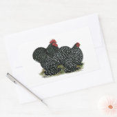 Sticker Rectangulaire Cochin Mottled (Enveloppe)