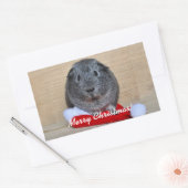 Sticker Rectangulaire Cochon de Guinée de Noël (Enveloppe)