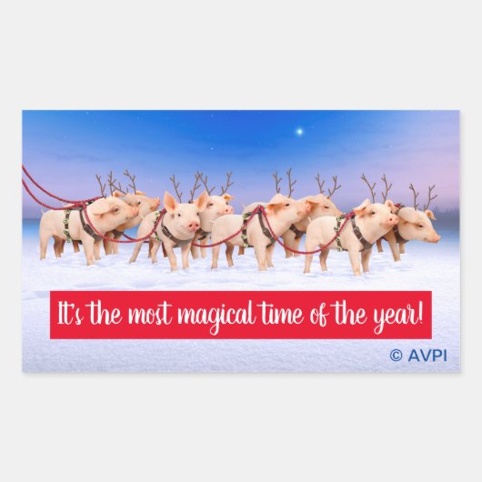 Sticker Rectangulaire Cochons de rennes (Devant)