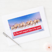 Sticker Rectangulaire Cochons de rennes (Enveloppe)