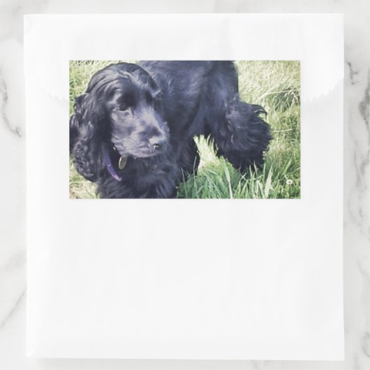 Sticker Rectangulaire Cocker Spaniel Puppy (Sac)
