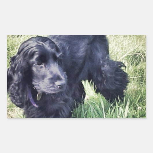 Sticker Rectangulaire Cocker Spaniel Puppy (Devant)