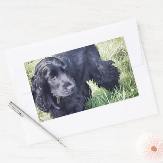 Sticker Rectangulaire Cocker Spaniel Puppy (Enveloppe)