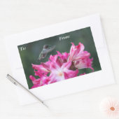 Sticker Rectangulaire Colibri avec étiquette-cadeau pour les lys de bell (Enveloppe)
