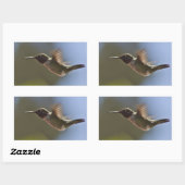 Sticker Rectangulaire Colibri en vol (Feuille)
