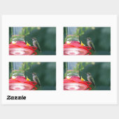 Sticker Rectangulaire Colibri perché (Feuille)