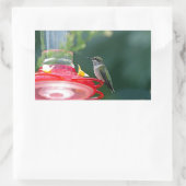 Sticker Rectangulaire Colibri perché (Sac)