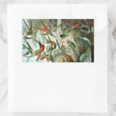 Sticker Rectangulaire Colibri (Trochilidae) par Haeckel Rectangle Sti (Sac)