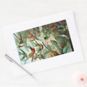 Sticker Rectangulaire Colibri (Trochilidae) par Haeckel Rectangle Sti (Enveloppe)