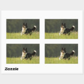 Sticker Rectangulaire colle frontière p9 (Feuille)