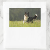 Sticker Rectangulaire colle frontière p9 (Sac)