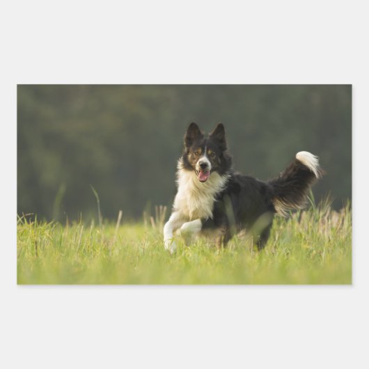 Sticker Rectangulaire colle frontière p9 (Devant)