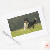 Sticker Rectangulaire colle frontière p9 (Enveloppe)