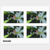 Sticker Rectangulaire Collection Irlandaise de laiton et de fleurs (Feuille)