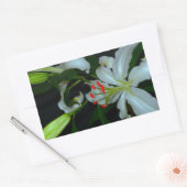 Sticker Rectangulaire Collection Irlandaise de laiton et de fleurs (Enveloppe)