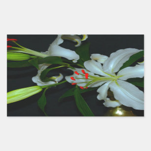 Sticker Rectangulaire Collection Irlandaise de laiton et de fleurs