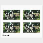 Sticker Rectangulaire Collie Bordure Noire Et Blanc Chiens De Chien De C (Feuille)