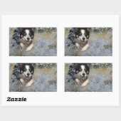 Sticker Rectangulaire collie frontière courant dans l'eau (Feuille)