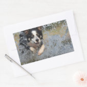 Sticker Rectangulaire collie frontière courant dans l'eau (Enveloppe)