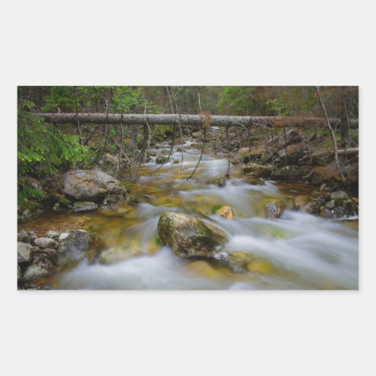 Sticker Rectangulaire Collier rectangulaire de crique de forêt rocheuse (Devant)