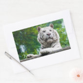 Sticker Rectangulaire Colonne de tigre blanc (Enveloppe)