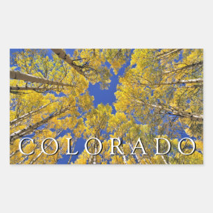 Sticker Rectangulaire Colorado automne Forêt de trembles en automne