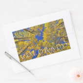 Sticker Rectangulaire Colorado Fall | Forêt d'Aspen en automne (Enveloppe)