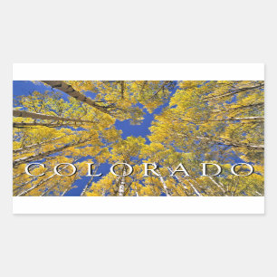 Sticker Rectangulaire Colorado Fall   Forêt d'Aspen en automne