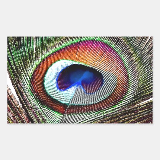 Sticker Rectangulaire Colorful Copper Peacock Feather (Devant)