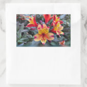 Sticker Rectangulaire Colors de Summer (Sac)