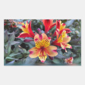 Sticker Rectangulaire Colors de Summer (Devant)