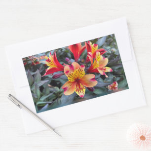 Sticker Rectangulaire Colors de Summer