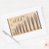 Sticker Rectangulaire Comètes de Stanislaw Lubieniecki, Astronomie Vinta (Enveloppe)