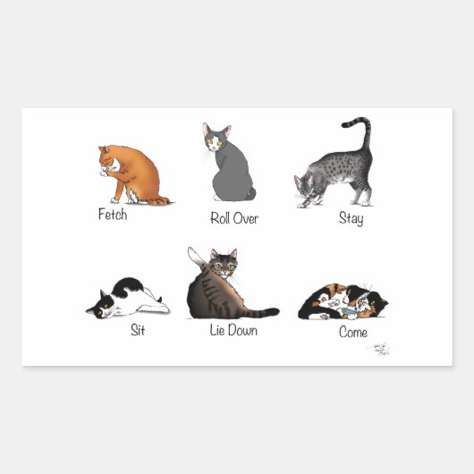 Sticker Rectangulaire Commandes Cat (Devant)